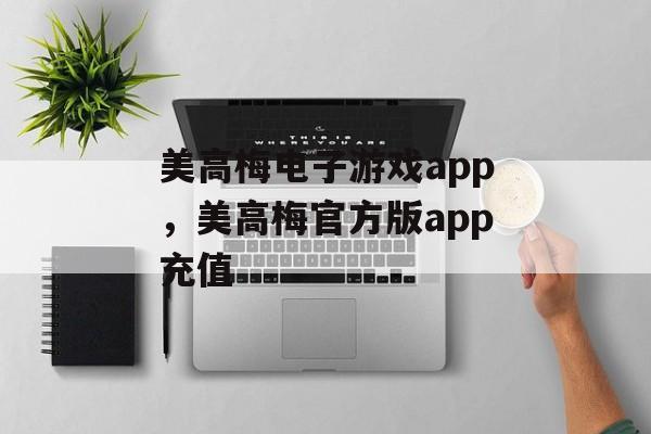 美高梅电子游戏app，美高梅官方版app充值